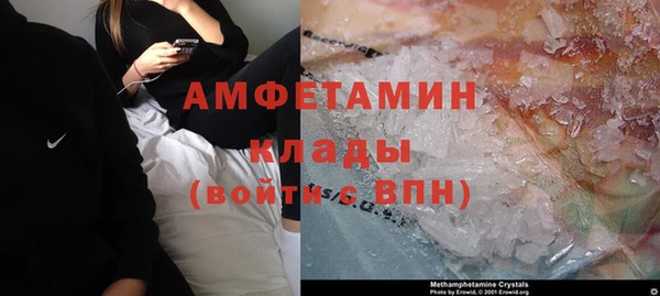 дмт Алзамай