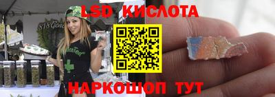 шишки Гатчина