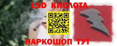 шишки Гатчина