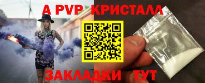 шишки Гатчина