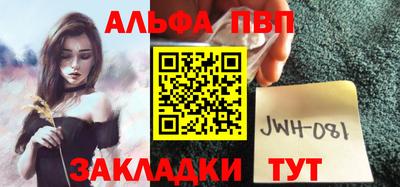 шишки Гатчина