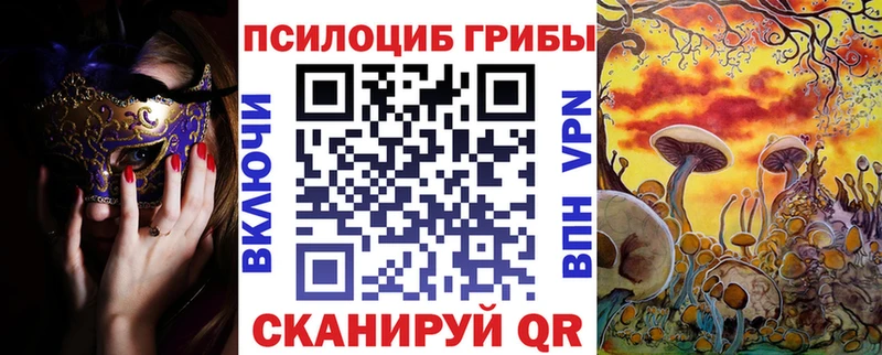 Псилоцибиновые грибы Psilocybine cubensis  Нурлат 
