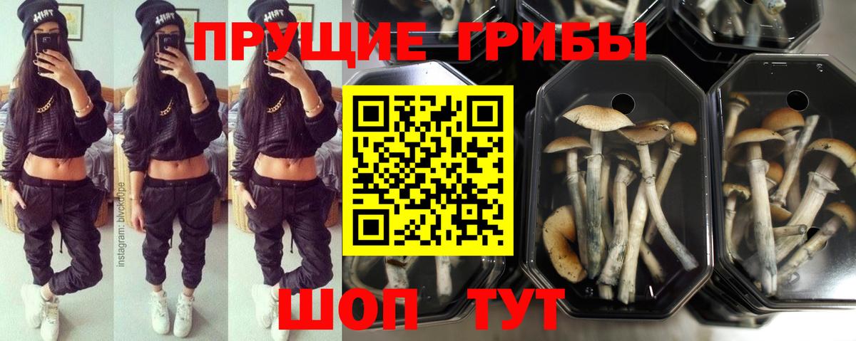 Нурлат  Псилоцибиновые грибы ЛСД  Вход с VPN 